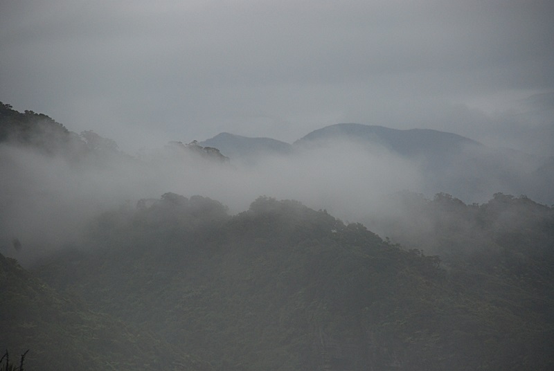 DSC_0775.JPG