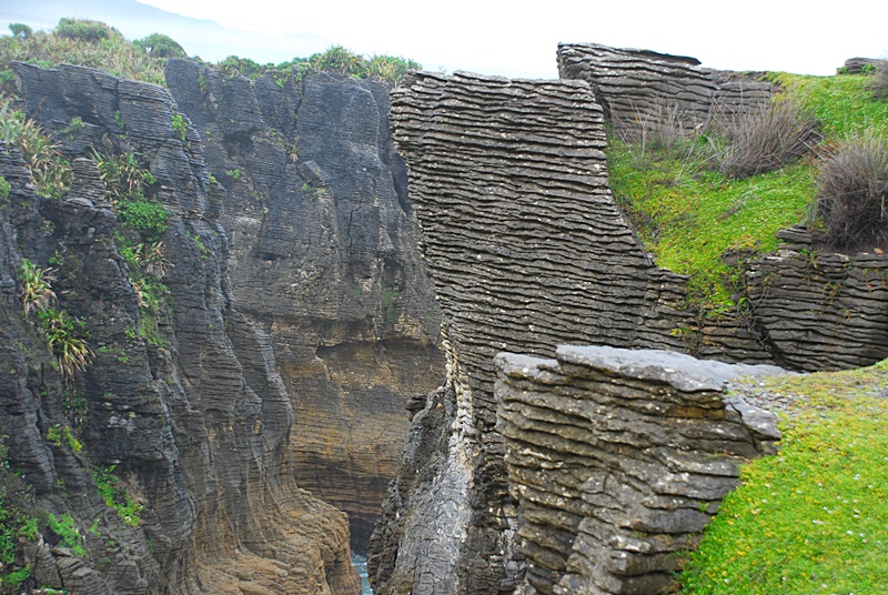 DSC_0676.JPG