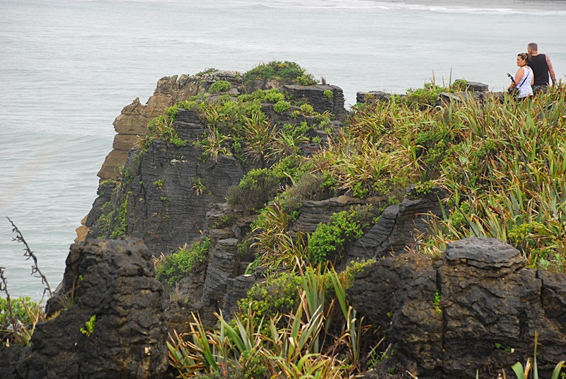 DSC_0783.JPG