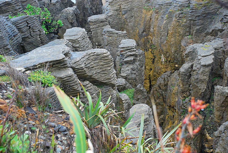 DSC_0791.JPG