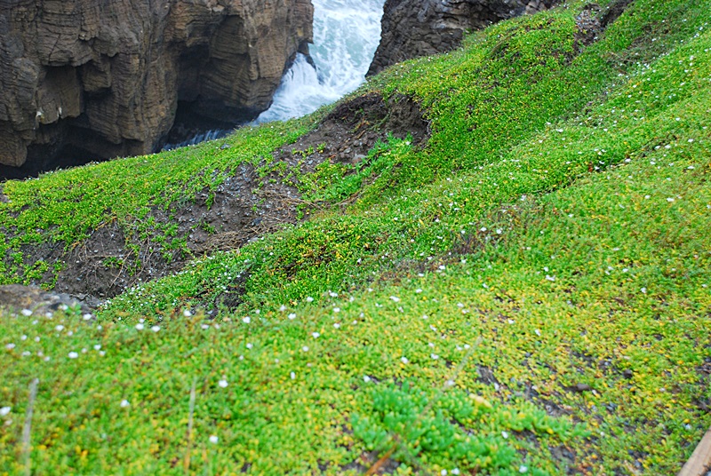 DSC_0692.JPG