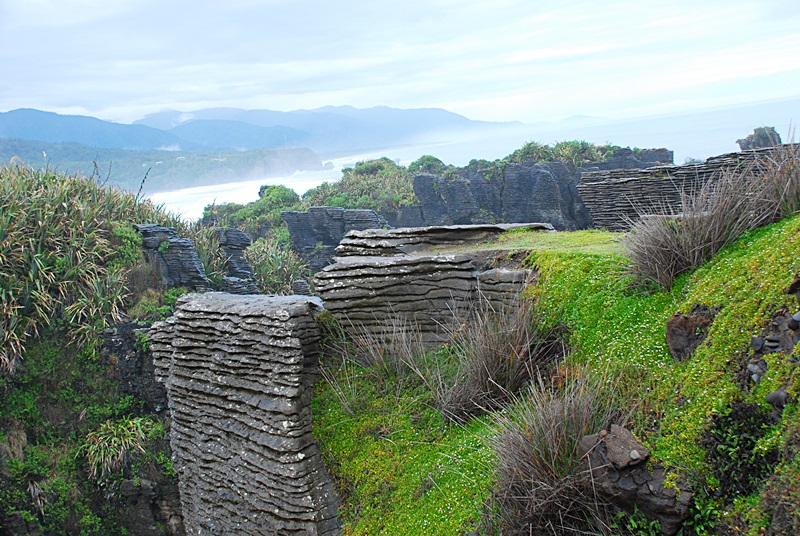 DSC_0671.JPG
