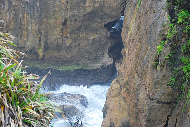 DSC_0664.JPG
