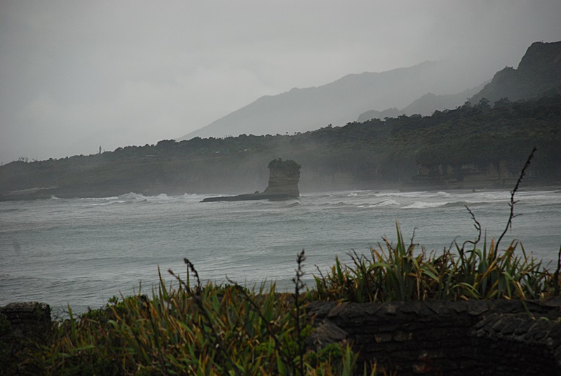 DSC_0786.JPG