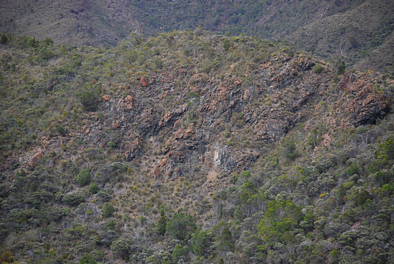 DSC_0606.JPG