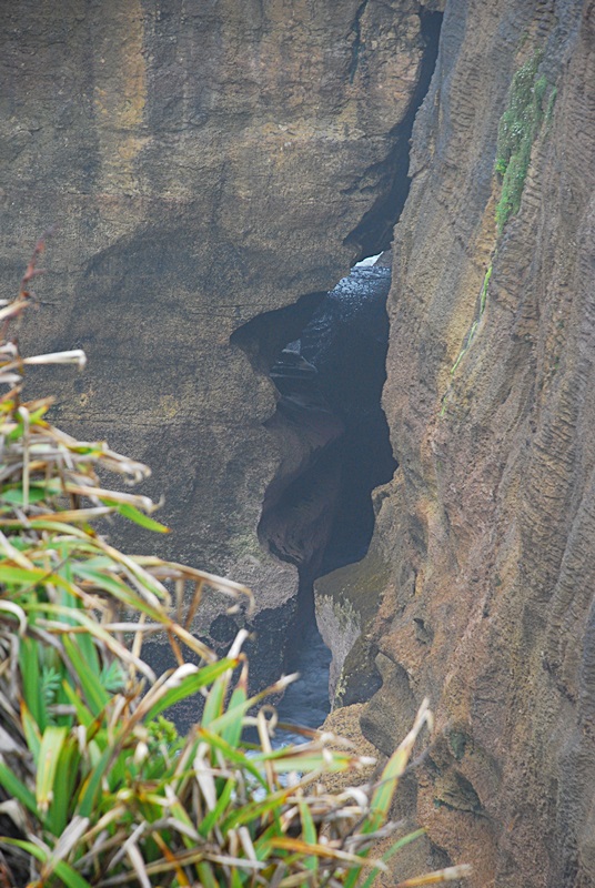 DSC_0769.JPG