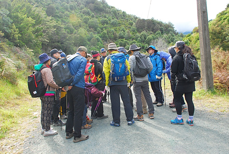 DSC_0510.JPG