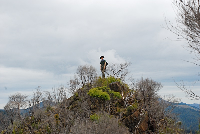 DSC_0613.JPG