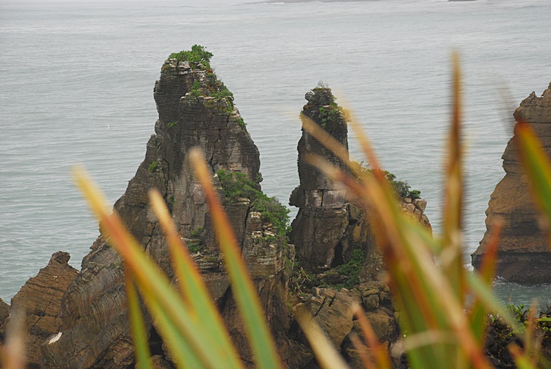 DSC_0779.JPG