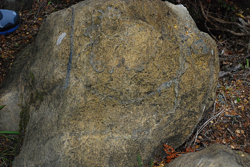 DSC_0579.JPG