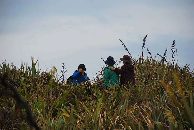 DSC_0774.JPG