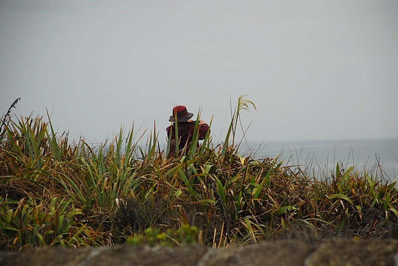 DSC_0762.JPG