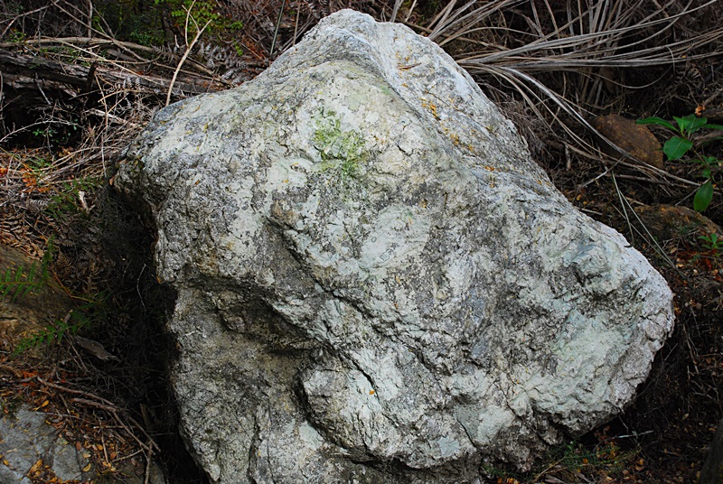 DSC_0580.JPG