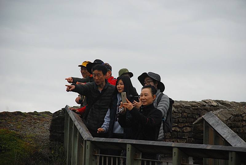 DSC_0665.JPG
