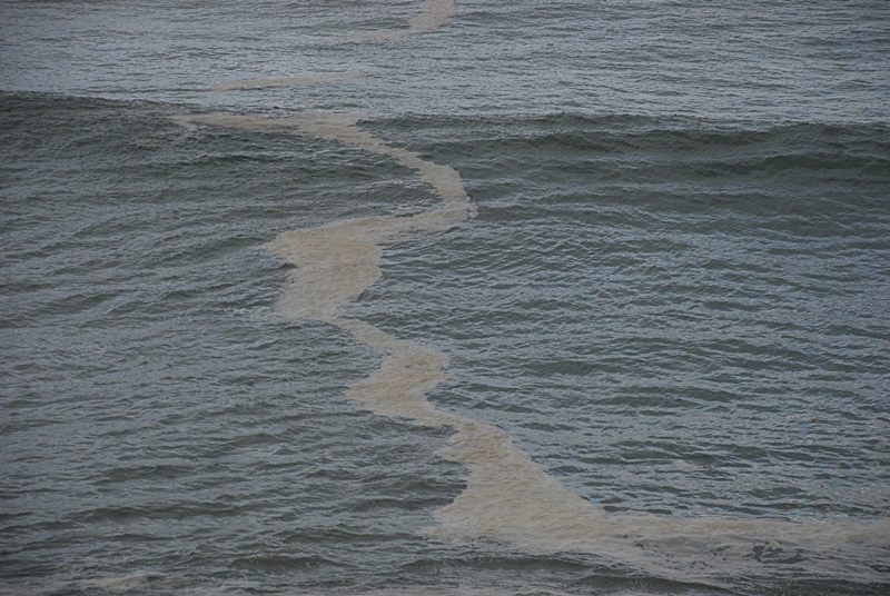 DSC_0793.JPG