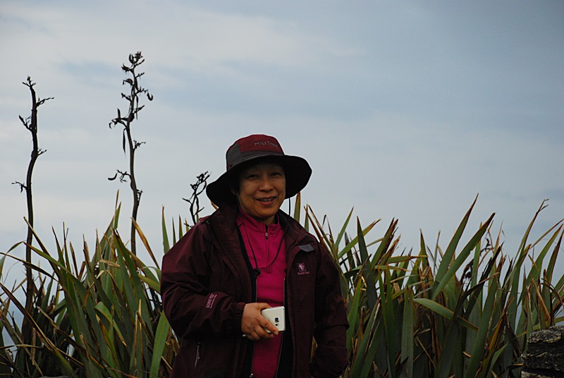 DSC_0780.JPG