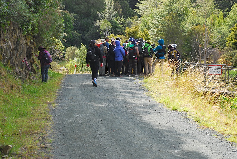 DSC_0521.JPG
