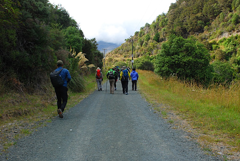 DSC_0520.JPG