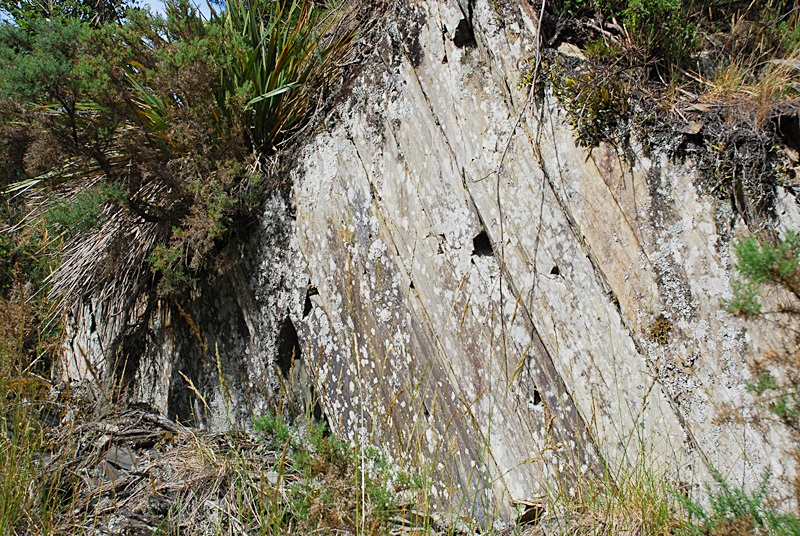 DSC_0550.JPG