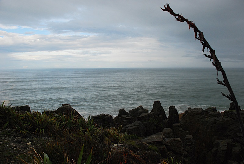 DSC_0790.JPG