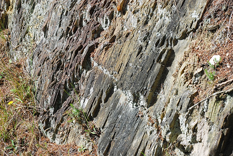 DSC_0548.JPG
