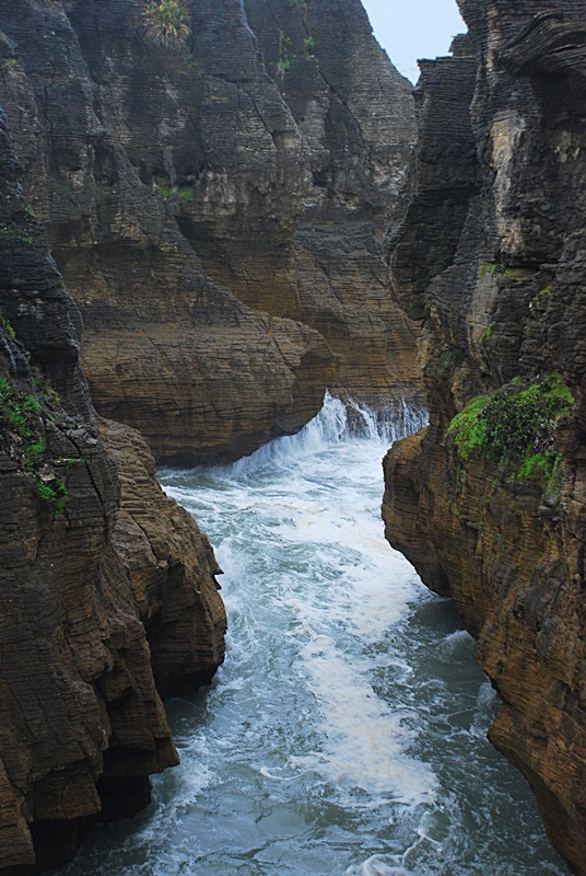 DSC_0772.JPG