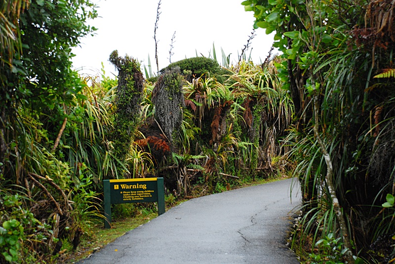DSC_0655.JPG