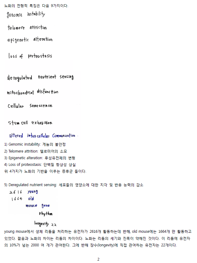ScreenClip 02.png