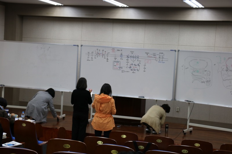 176-20171017-215523.JPG