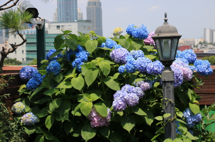 [크기변환]IMG_2904.JPG
