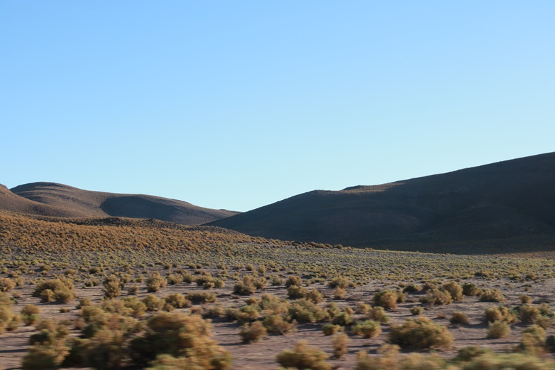 2121-20171224-232732.JPG