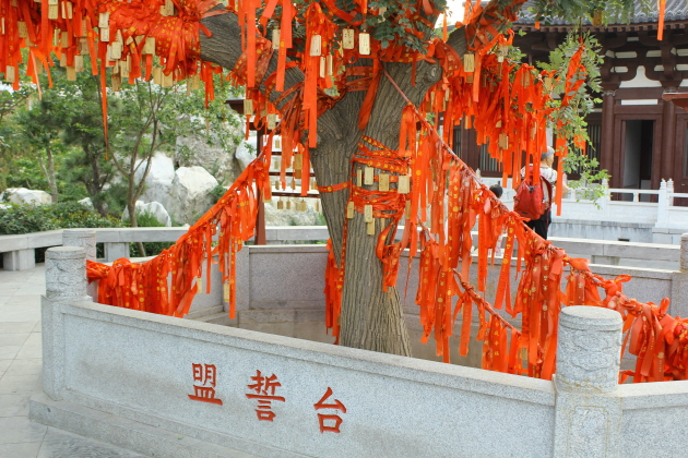 크기변환_IMG_6224.JPG