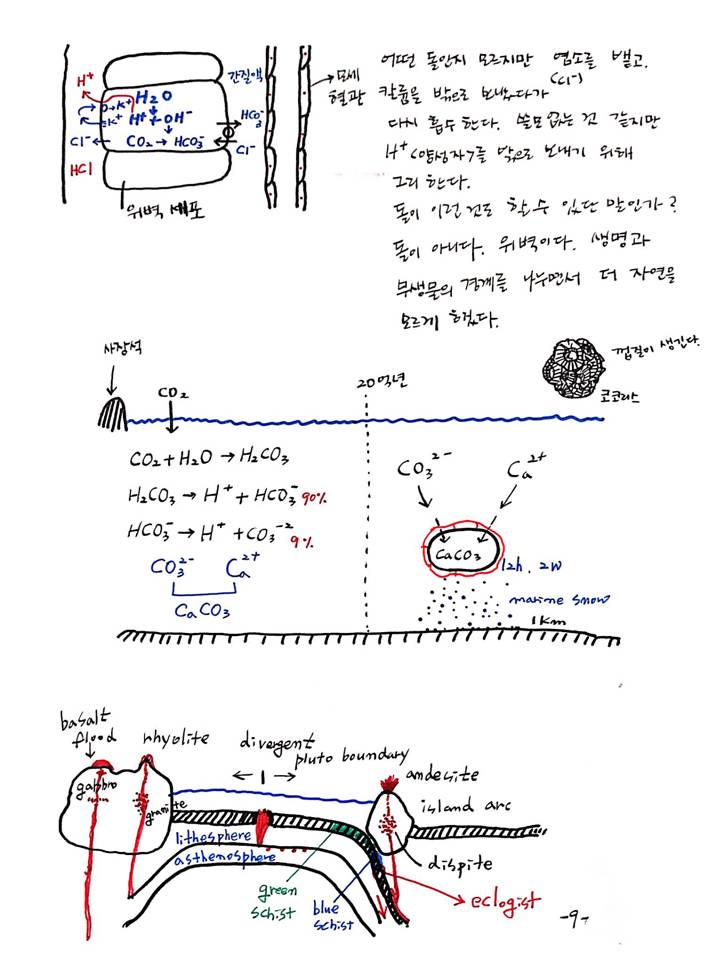 슬라이드10.JPG