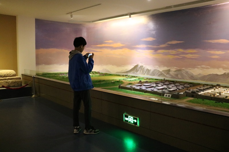 378.JPG