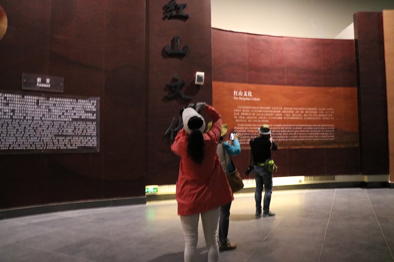463.JPG