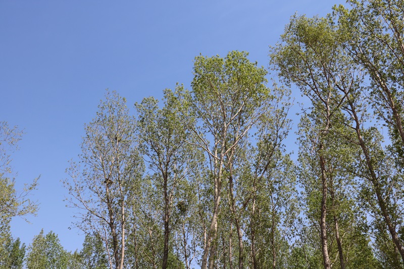 585.JPG