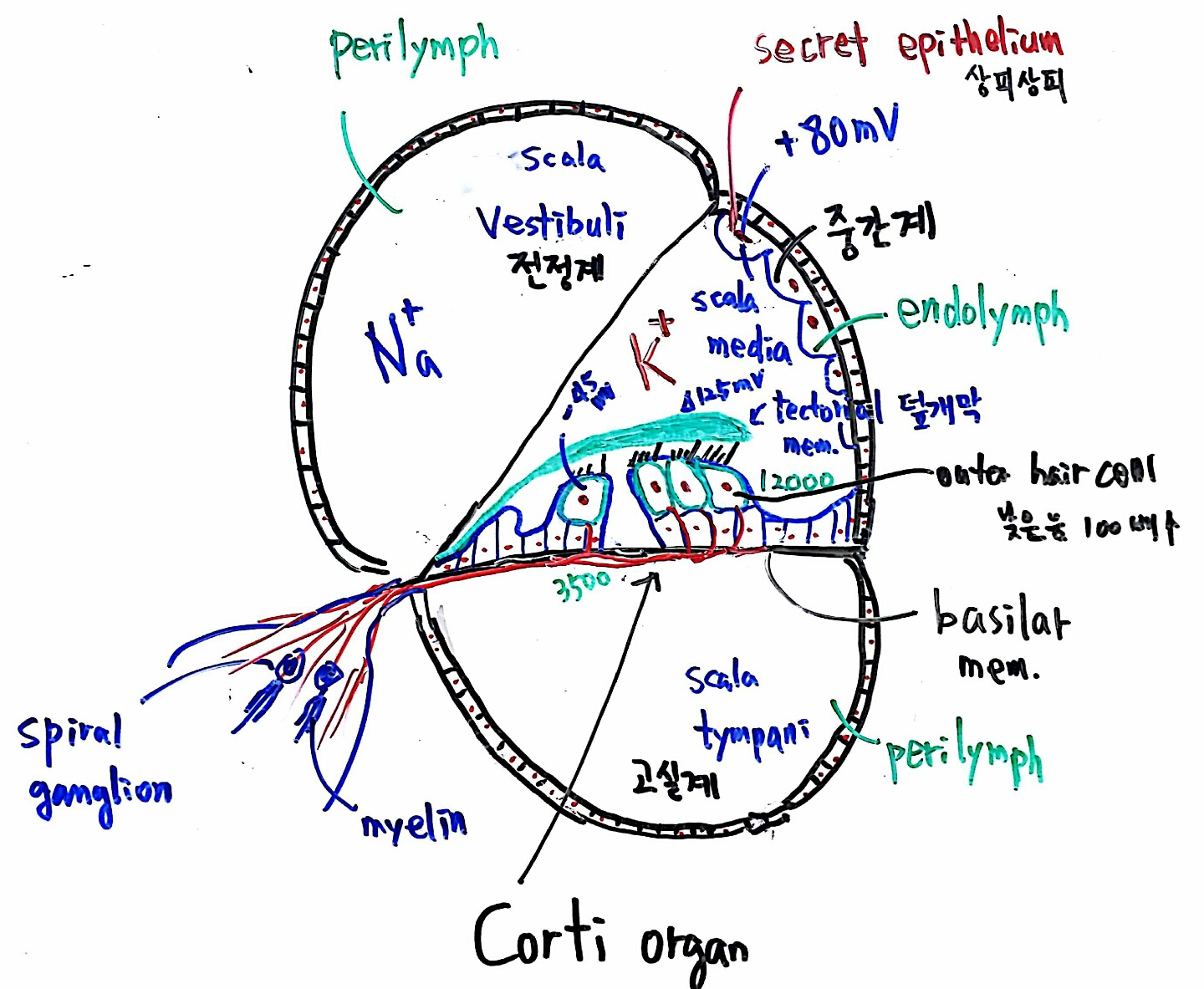 1474201251861[1].jpeg