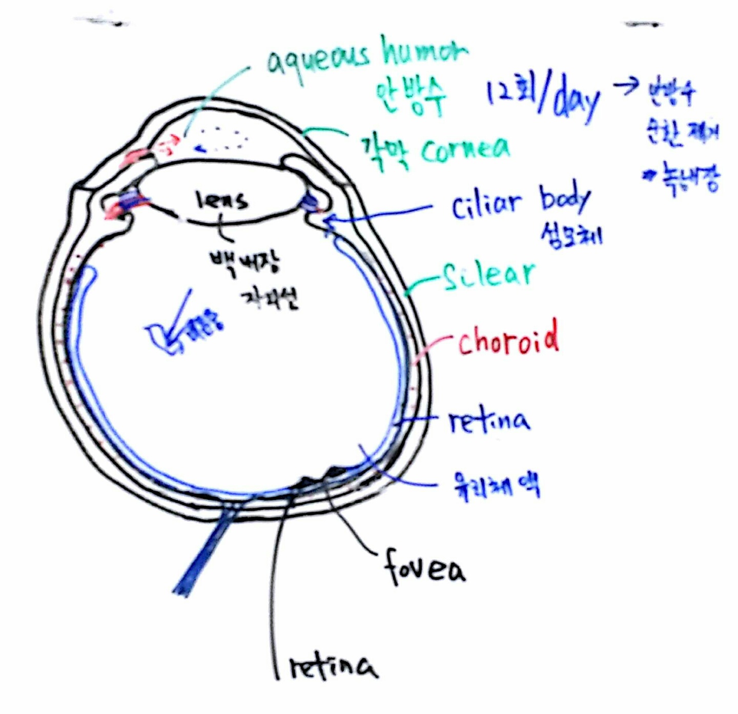 1474201259051[1].jpeg