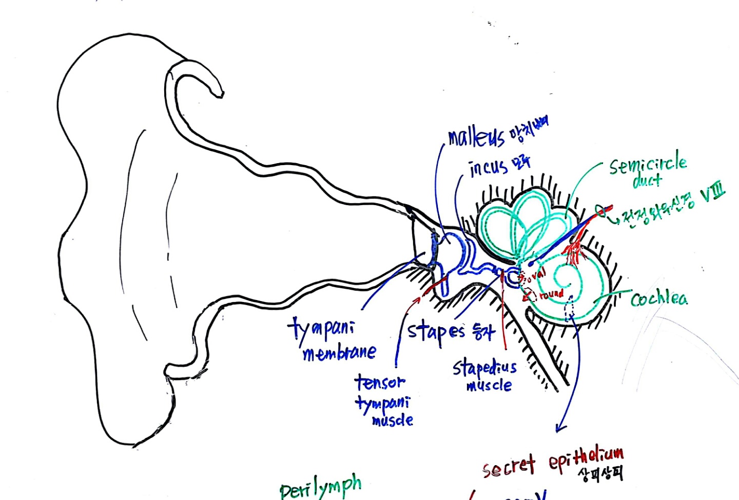 1474201250113[1].jpeg