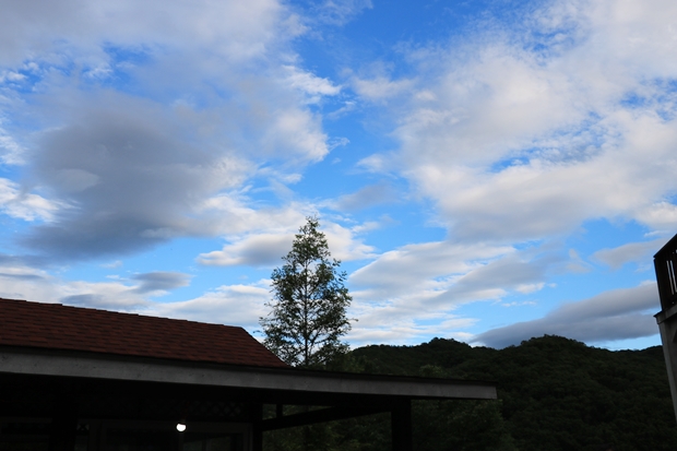 IMG_4918.JPG