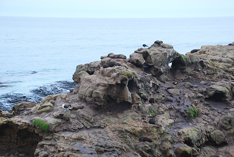 DSC_0213.JPG