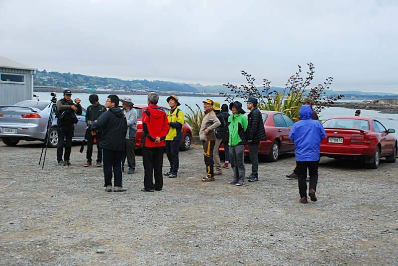 DSC_0270.JPG