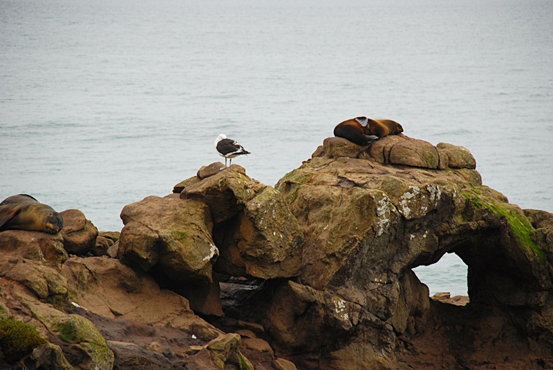 DSC_0220.JPG