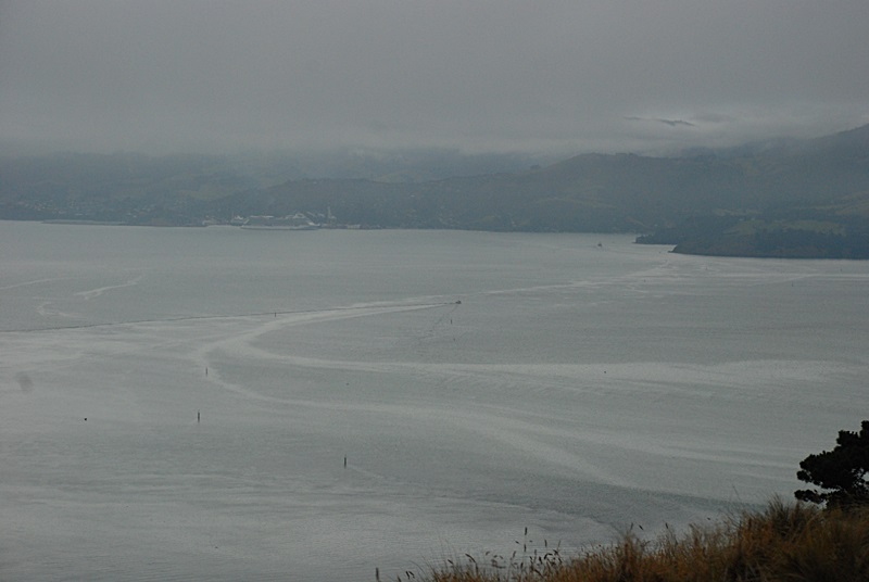 DSC_0261.JPG