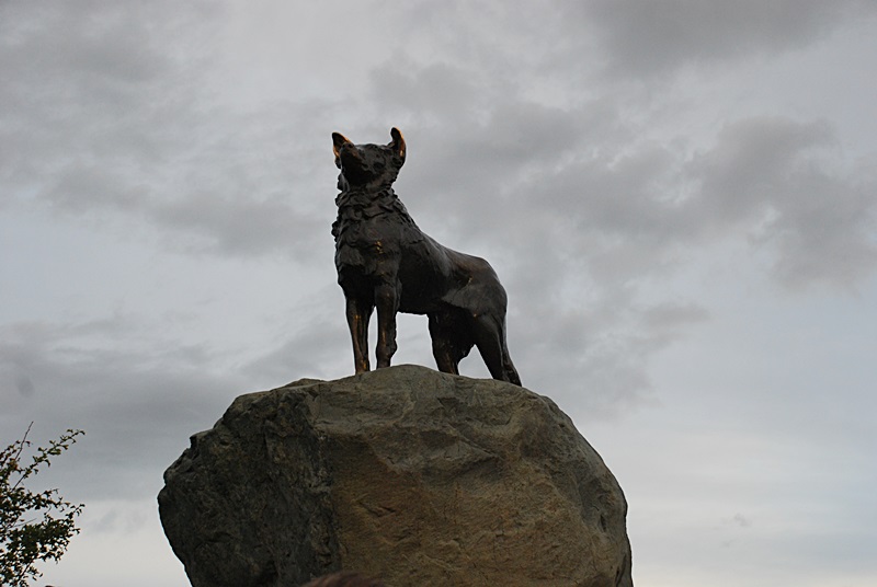 DSC_0708.JPG