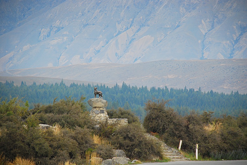 DSC_0703.JPG