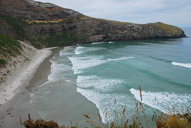 DSC_0255.JPG