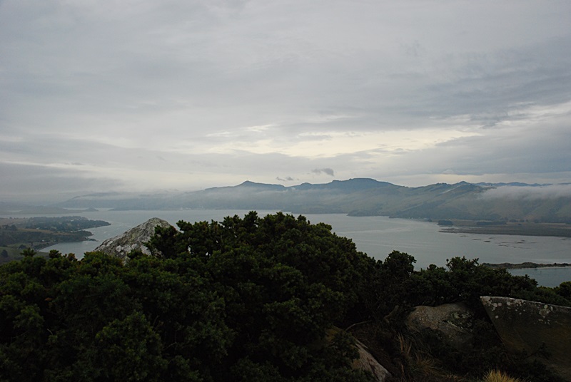 DSC_0211.JPG