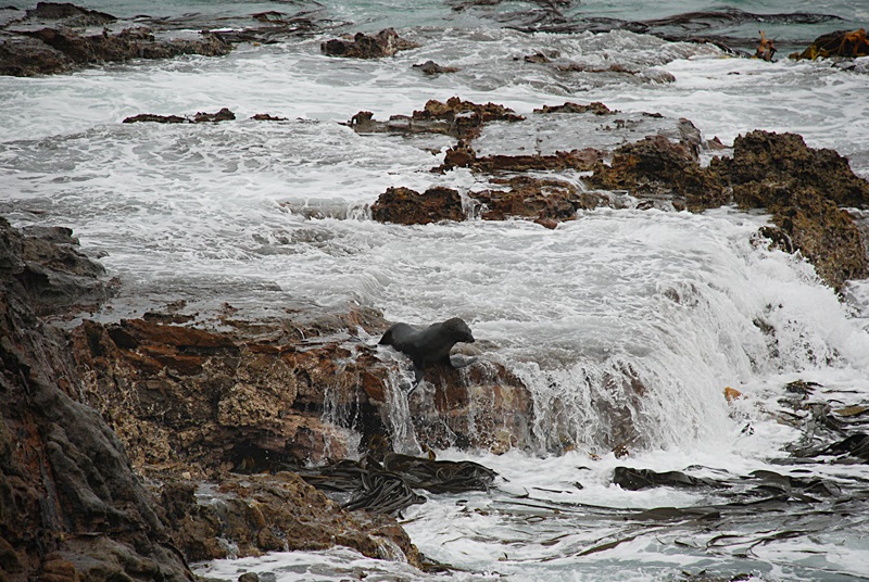 DSC_0245.JPG