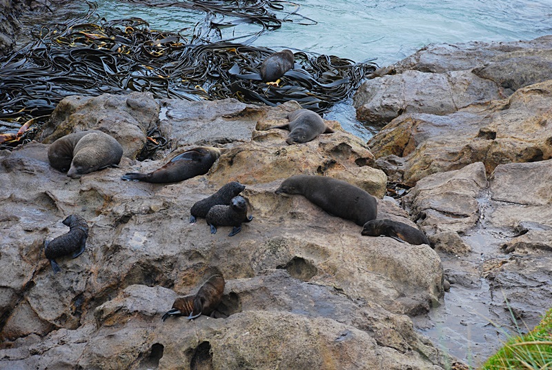 DSC_0216.JPG